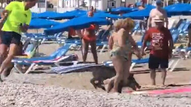 Αγριογούρουνο όρμησε σε γυναίκα που έκανε ηλιοθεραπεία 