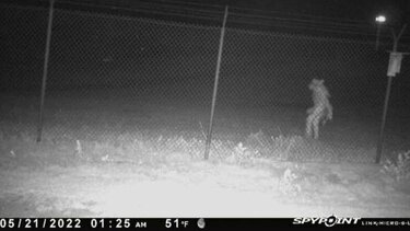 Άνδρας με κοστούμι, ζώο ή κάτι άλλο; Το μυστήριο πλάσμα που «συνέλαβε» κάμερα στο Τέξας