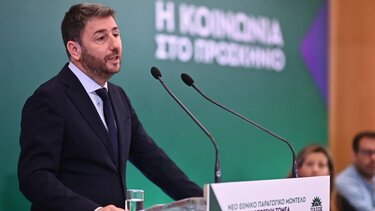 Ανδρουλάκης: Απαράδεκτο να οδηγείται το ΝΑΤΟ από τους εκβιασμούς Ερντογάν