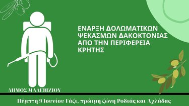 Ξεκινούν οι ψεκασμοί για την καταπολέμηση του δάκου στο Δήμο Μαλεβιζίου