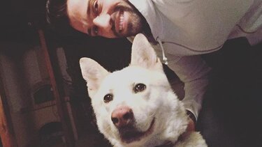 Κωνσταντίνος Αργυρός: Η κίνηση αγάπης για τα αδέσποτα