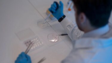 Ευλογιά των πιθήκων: Τα κρούσματα ξεπέρασαν τα 1.000 σε 29 χώρες