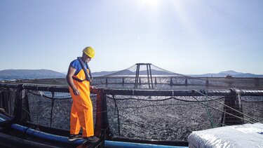 Στρατηγική συνεργασία μεταξύ της Ελληνικής Οργάνωσης Παραγωγών Υδατοκαλλιέργειας και του Ελληνικού Κέντρου Θαλάσσιων Ερευνών