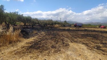 Τέσσερα στρέμματα έκαψε η φωτιά στο Ροτάσι 