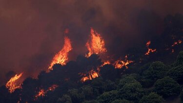 Ισπανία: 2.000 επιστρέφουν στις εστίες τους μετά τη μεγάλη πυρκαγιά