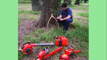 Ξυλογλυπτική με... αλυσοπρίονα