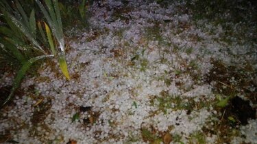 Γρεβενά: Μεγάλες ζημιές σε καλλιέργειες από χαλάζι