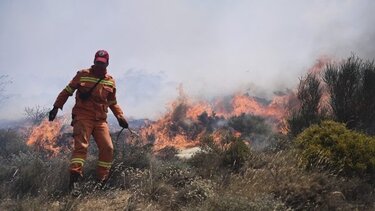  Φωτιά στο Νταού Πεντέλης – Τέθηκε άμεσα υπό έλεγχο