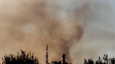 Φωτιά στα Μέγαρα: Καίγονται σπίτια σε Αλεποχώρι και Παπαγιαννέικα – Νέο μέτωπο στην Αγία Άννα 