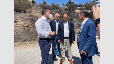 Τσίπρας: Να σταματήσει ο κ. Μητσοτάκης να θριαμβολογεί πάνω στην καμένη γη