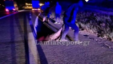 Τροχαίο με τεράστιο αγριογούρουνο στο δρόμο Λαμίας - Στυλίδας