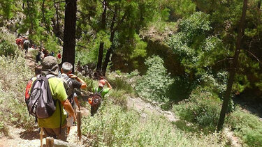 Εξόρμηση στο καταπράσινο φαράγγι της Αγίας Ειρήνης
