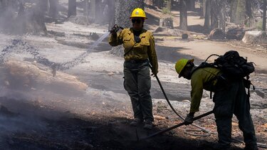 Πολίτες συνέλαβαν εμπρηστή και τον έδεσαν σε δέντρο