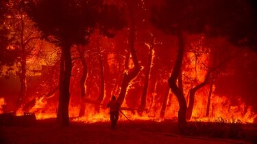 Δραματικές ώρες στη Λέσβο: Σπίτια στις φλόγες - 9 άτομα απεγκλώβισε το Λιμενικό