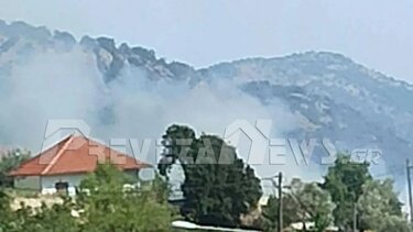  Υπό μερικό έλεγχο η φωτιά στη Βρυσούλα της Πρέβεζας