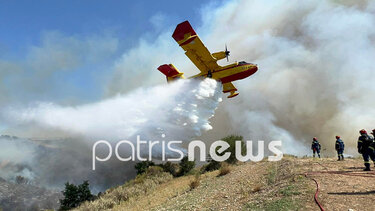 Ανεξέλεγκτη η φωτιά στην Αμαλιάδα: Τρεις οι τραυματίες πυροσβέστες - μήνυμα από το 112 για εκκένωση του οικισμού Πηγάδι