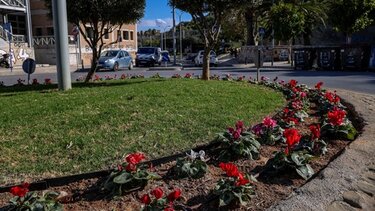 Νέες φυτεύσεις σε κοινόχρηστους χώρους του Δήμου Ηρακλείου