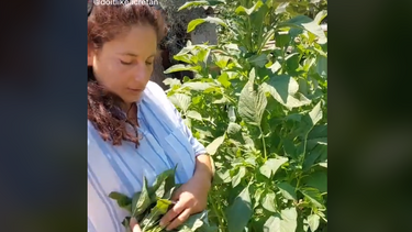 "Μαγείρεψε σαν Κρητικός"