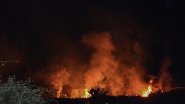 Mνήμες από δύο αεροπορικά δυστυχήματα «ξύπνησε» η πτώση του Αντόνοφ