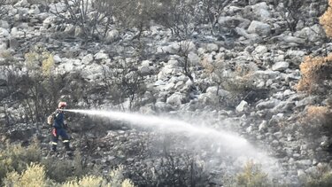  Καλύτερη εικόνα παρουσιάζει η φωτιά στην Μάνδρα - Δύο προσαγωγές