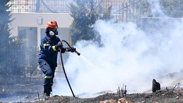 Η Τεχνητή Νοημοσύνη βοηθά στην αντιμετώπιση των δασικών πυρκαγιών