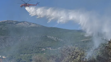 Φωτιές: Σε εξέλιξη η πυρκαγιά στο Πόρτο Γερμενό, καλύτερη η εικόνα στον Πύργο Ηλείας