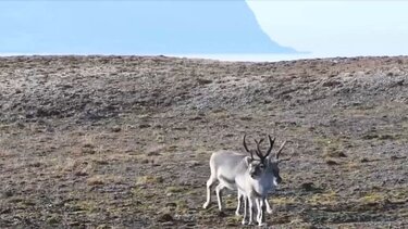 Ο οικισμός με την πιο καθαρή ατμόσφαιρα στον κόσμο