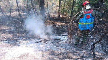Φωτιά στον Έβρο: Μαίνεται το πύρινο μέτωπο στο δάσος της Δαδιάς