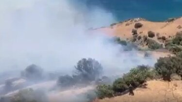 Δίπλα στους κτηνοτρόφους που επλήγησαν από τις πυρκαγιές η Περιφέρεια