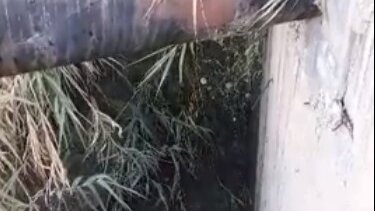 Τα λύματα δε μας αφήνουν να ανοίξουμε ούτε τα παράθυρά μας!