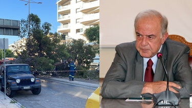 Λαμπρινός για φονικό δέντρο: Θα φτάσει η υπόθεση στο τέρμα!