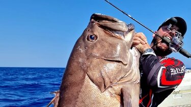 Viral ο Κρητικός ψαράς - Έπιασε βλαχοσφυρίδα 40 κιλών!