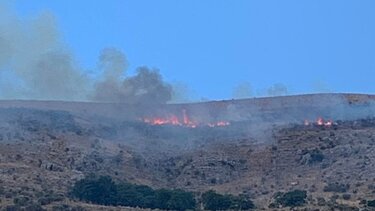 Πυρκαγιά σε εξέλιξη στην παλιά Σαγιάδα μετά από κεραυνό