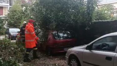 Γιάννενα: Σε ποτάμια μετατράπηκαν οι δρόμοι – Κινδύνευσε οδηγός