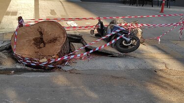 Ελαφρότητες που ειρωνεύονται τη βαρύτητα