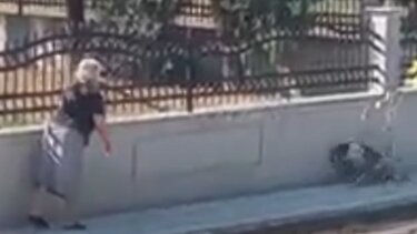 Δικογραφία σε βάρος 75χρονης που πέταξε τη μαγκούρα της σε αδέσποτο σκύλο