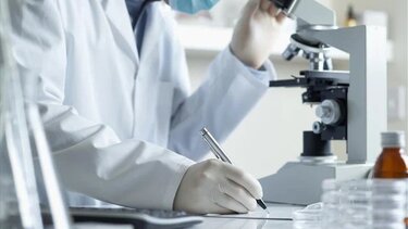 Ευλογιά των πιθήκων: Στα 85 τα κρούσματα στη χώρα μας 