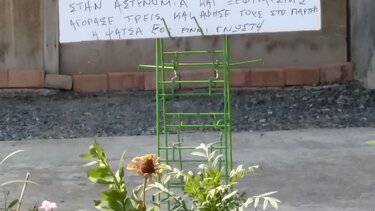 Εσένα, που έκλεψες καντιφέδες...