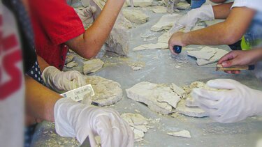 Μικροί παλαιοντολόγοι ανακάλυψαν απολιθωμένα ψάρια! Τώρα μελετώνται από τους επιστήμονες!