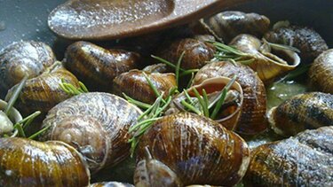 Χοχλιδοβραδιά με πανσέληνο απόψε στο Ίνι