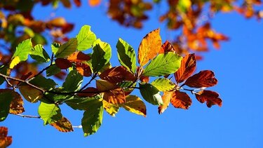 Φθινοπωρινός καιρός στην Κρήτη και την Τετάρτη