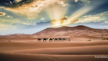 Με μια φωτογραφική έκθεση υποδέχεται τα νέα μέλη η Ε.Φ.Ε.Η. 