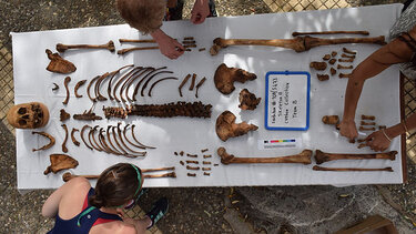 Εκπαιδευτικό Πρόγραμμα στην Ιατροδικαστική Ανθρωπολογία