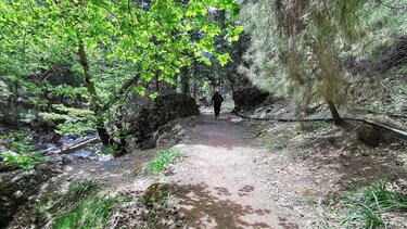 Εκδρομή στο Φαράγγι της Σαμαριάς με τους "Δρόμους Ζωής"