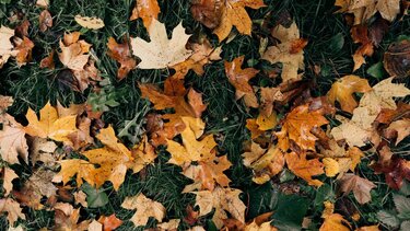 Φθινοπωρινη ισημερία την Παρασκευή 23/9 στο βόρειο ημισφαίριο 