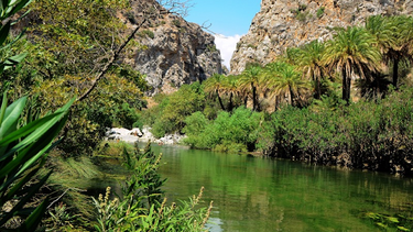 Ο Ορειβατικός Σύλλογος Αγίου Νικολάου πάει στο Κουρταλιώτικο Φαράγγι!