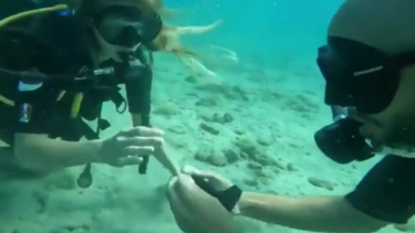 Της έκανε πρόταση γάμου στο βυθμό της θάλασσας