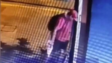 Στα ίχνη του άνδρα που πάτησε και σκότωσε γατάκι η ΕΛ.ΑΣ