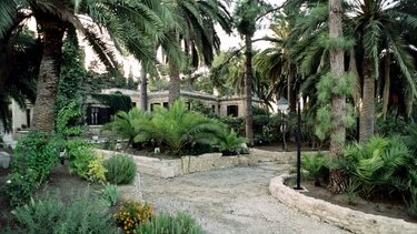 Ομιλία με θέμα "Η (προ)ιστορία της εκμετάλλευσης των ζώων στην Κνωσό"