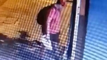 Στον ανακριτή για κακούργημα ο 40χρονος που κατηγορείται ότι ποδοπάτησε και σκότωσε γατάκι